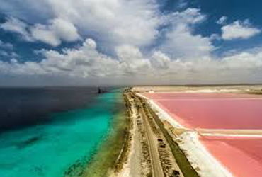 Pink Waters South Bonaire