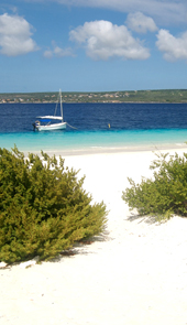 Bonaire Map