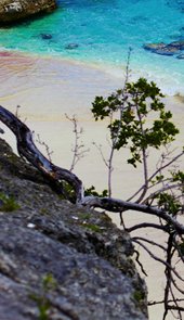Tours Bonaire